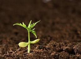 土壤監測，土壤污染程度，深圳檢測機構