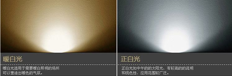 EMF人體電磁場輻射